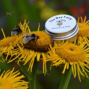 Unscented Natural Lip Balm (15g Tin)