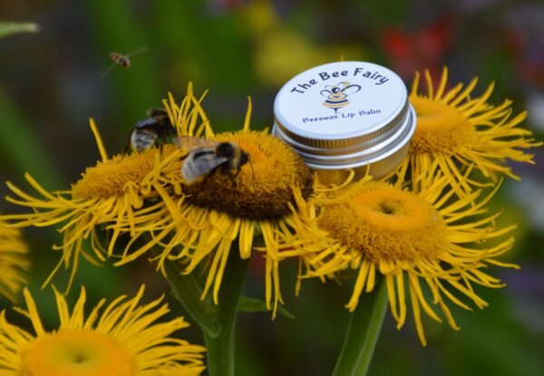 Unscented Natural Lip Balm (15g Tin)