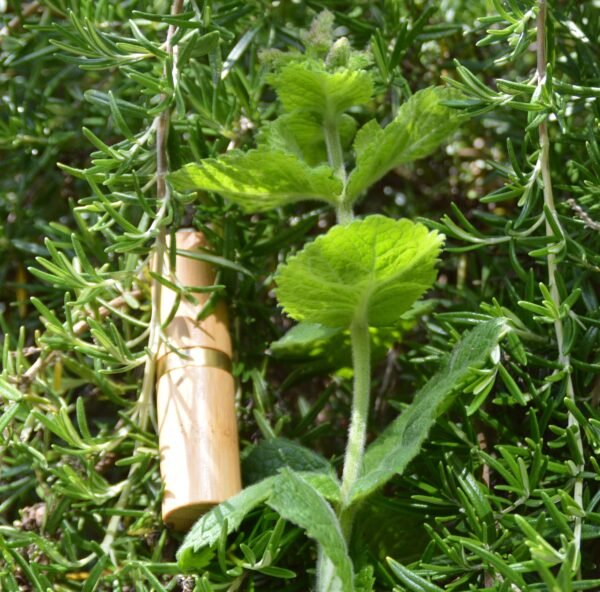 Rosemary & Peppermint Lip Balm