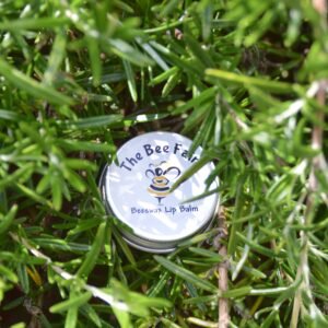 Rosemary & Peppermint Lip Balm (15g Tin)