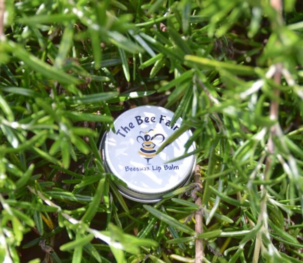 Rosemary & Peppermint Lip Balm (15g Tin)