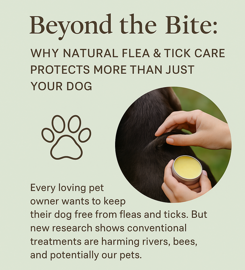 Beyond the Bite: Why Natural Flea & Tick Care Protects More Than Just Your Dog