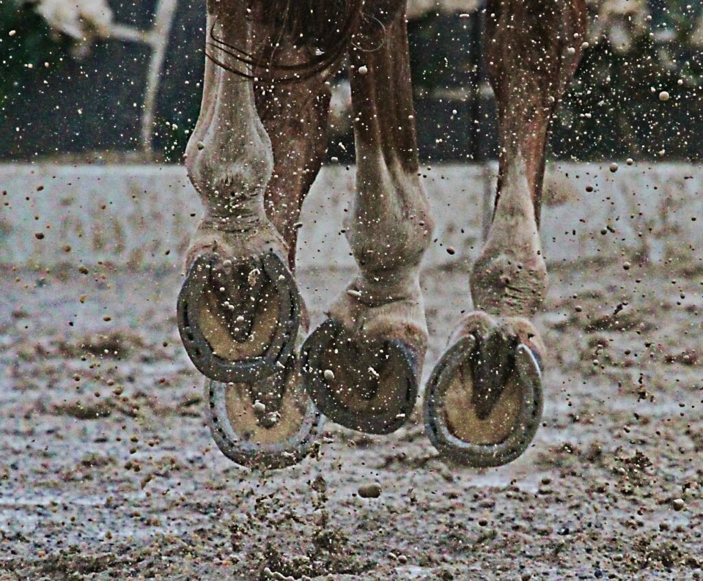 Equestrian Hoof Balm