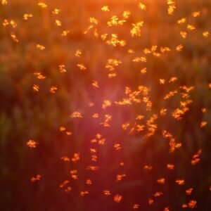 Insect & Fly Repellent Balm